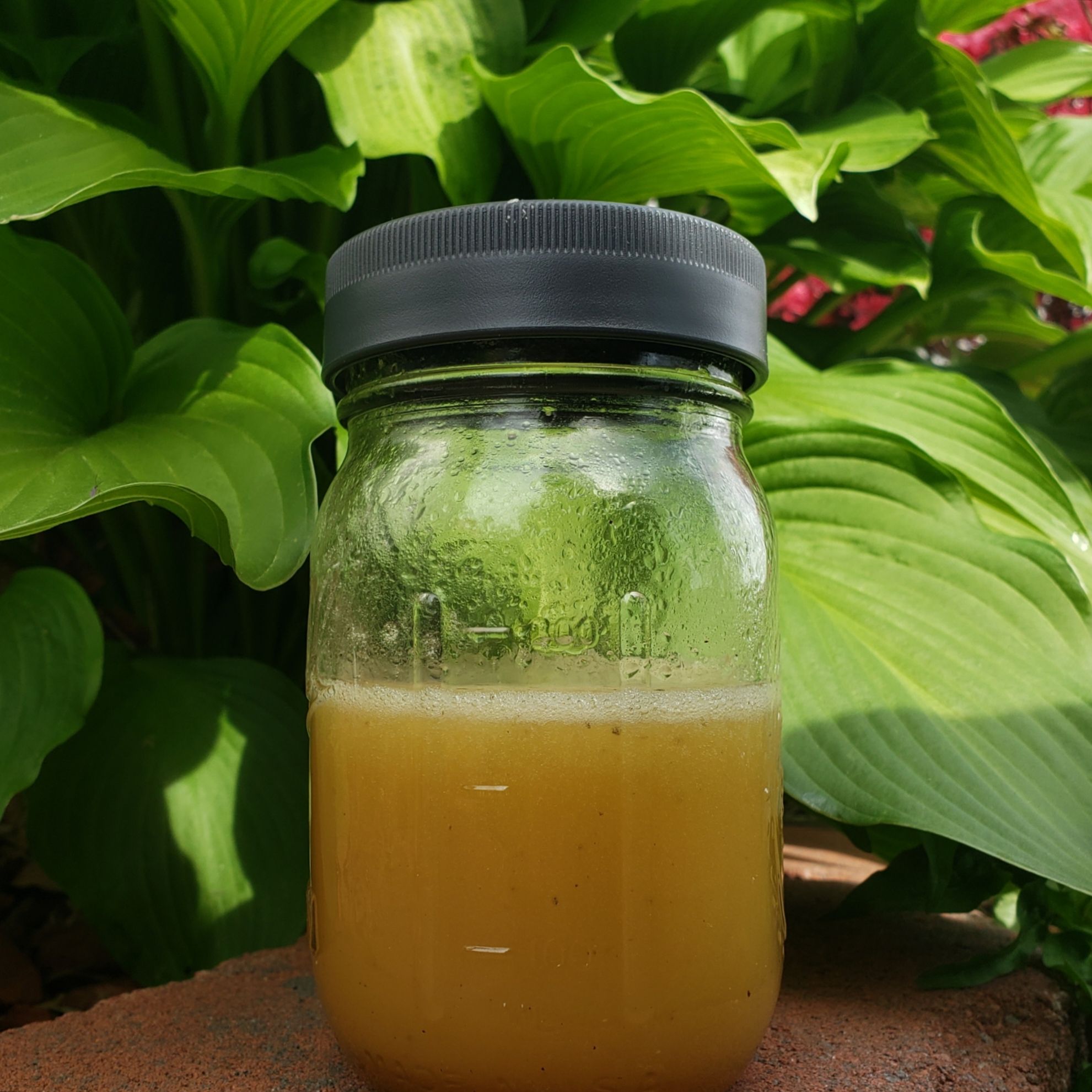 Recipe Easy Salad Dressing